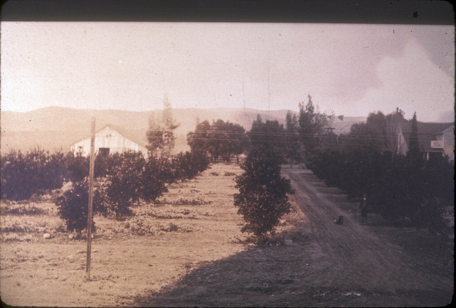 John Launer Ranch from Central Avenue looking north, 1905, with a windmill visible in the distance.