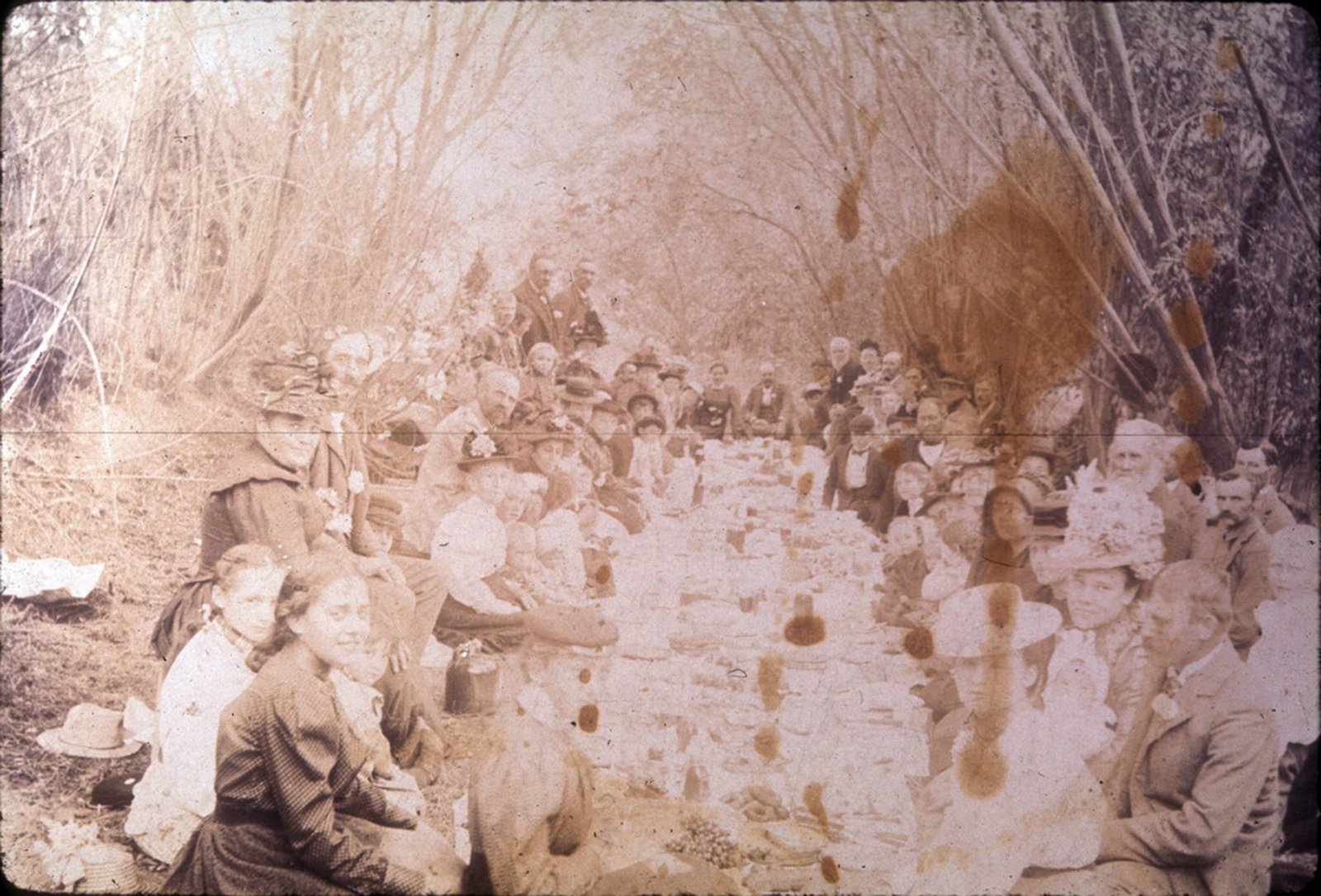 The second annual Old Settlers' Picnic hosted by the Ladies' Mutual Improvement Club of La Habra at Martinez Grove, 1899.