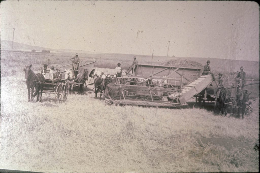Hay harvesting equipment and crew at Warne Ranch, east of La Habra, Calif., in 1897. The ranch was owned by Thomas P. Warne.