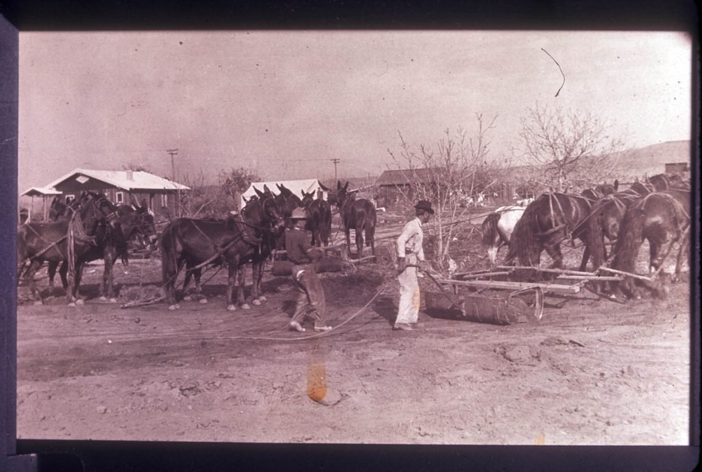 Road crew on Central Avenue, with view to the northeast in background, La Habra, Calif., in 1910 or 1911. The name of this street was later changed to La Habra Boulevard.