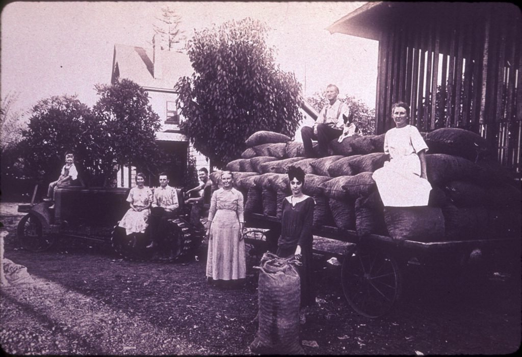 Image of Smith Ranch (exterior) with bags of walnuts loaded on flatbed trucks ready to ship.