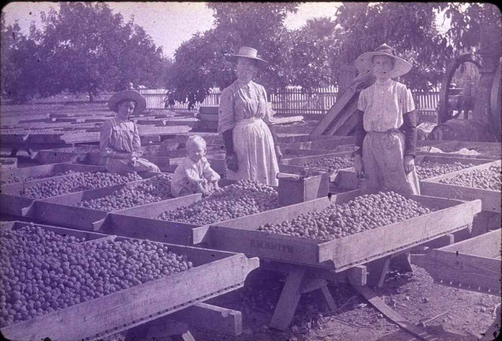Image of Smith Ranch walnut trays, three women and one child.